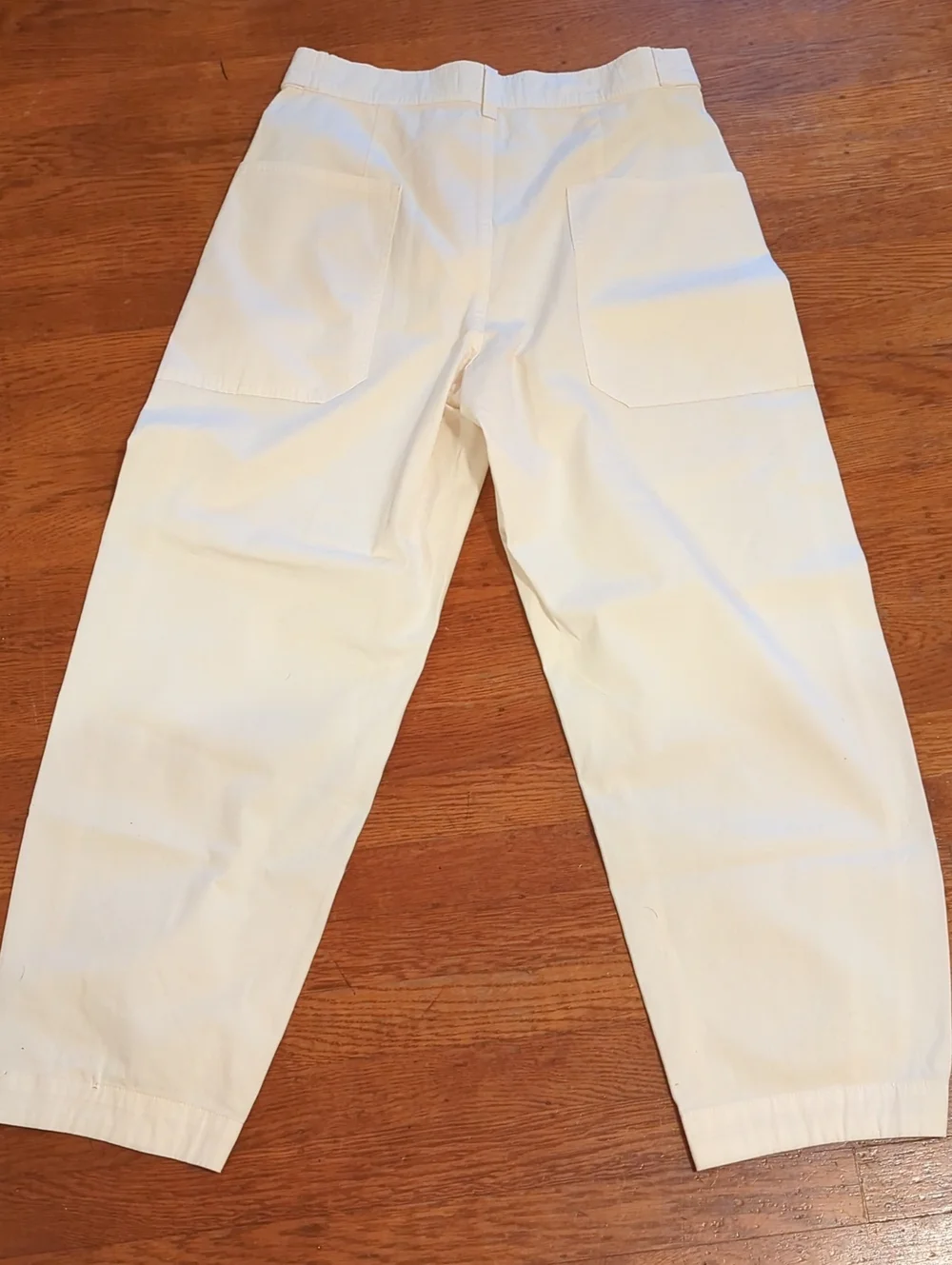 🆕EVERLANE The Fatigue Barrel Pant